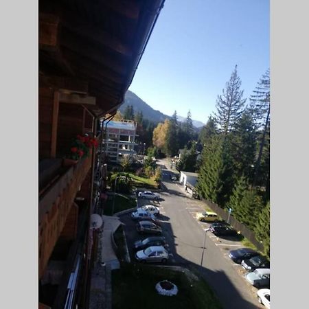 Large Vacation Apartment In 波亚纳布拉索夫 外观 照片
