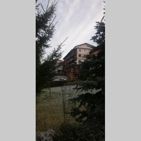 Large Vacation Apartment In 波亚纳布拉索夫 外观 照片