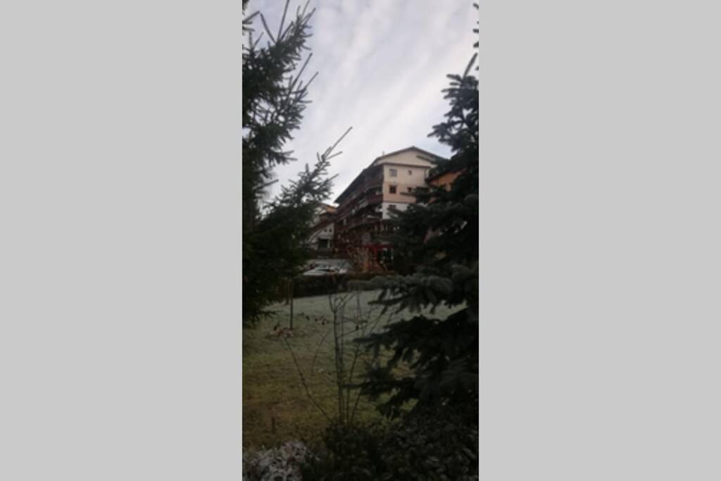 Large Vacation Apartment In 波亚纳布拉索夫 外观 照片