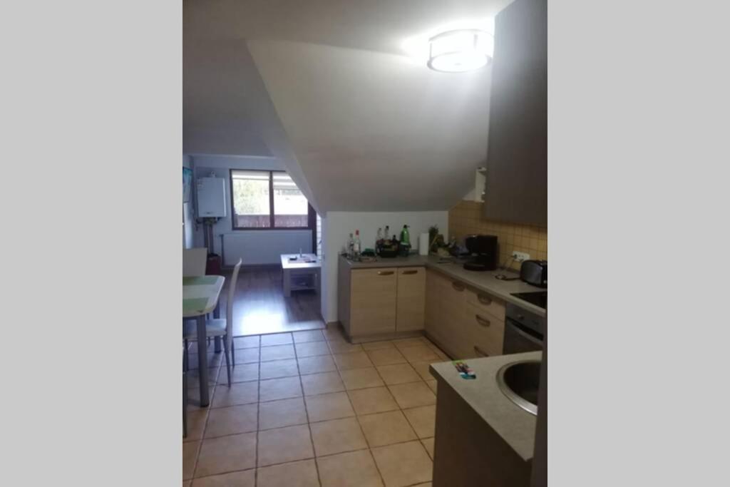 Large Vacation Apartment In 波亚纳布拉索夫 外观 照片