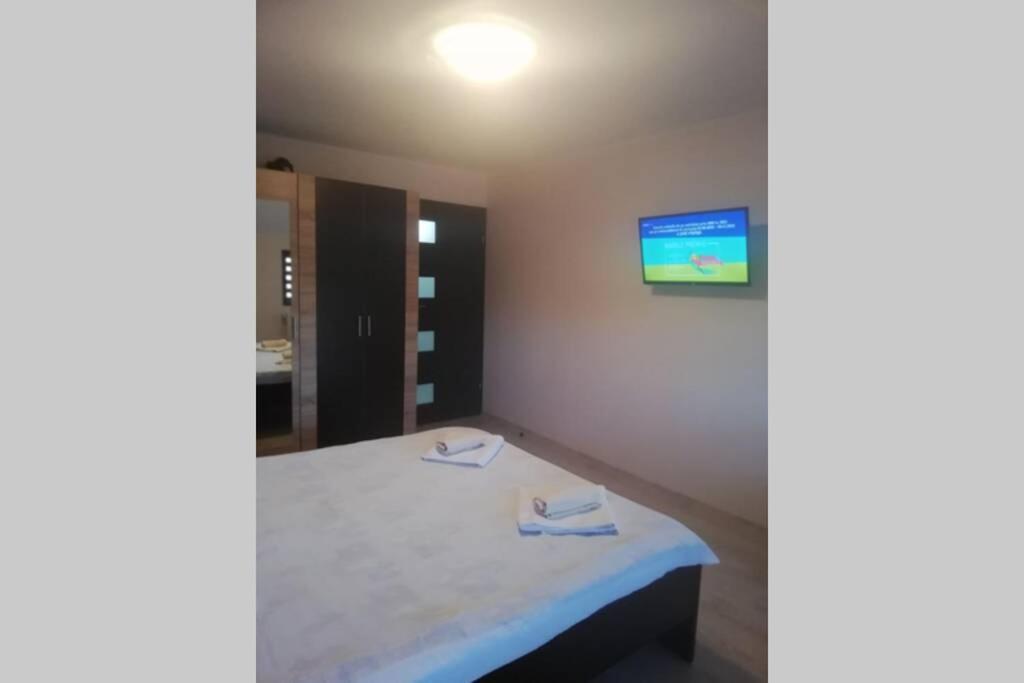 Large Vacation Apartment In 波亚纳布拉索夫 外观 照片