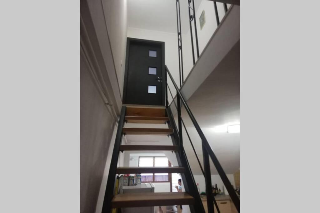 Large Vacation Apartment In 波亚纳布拉索夫 外观 照片