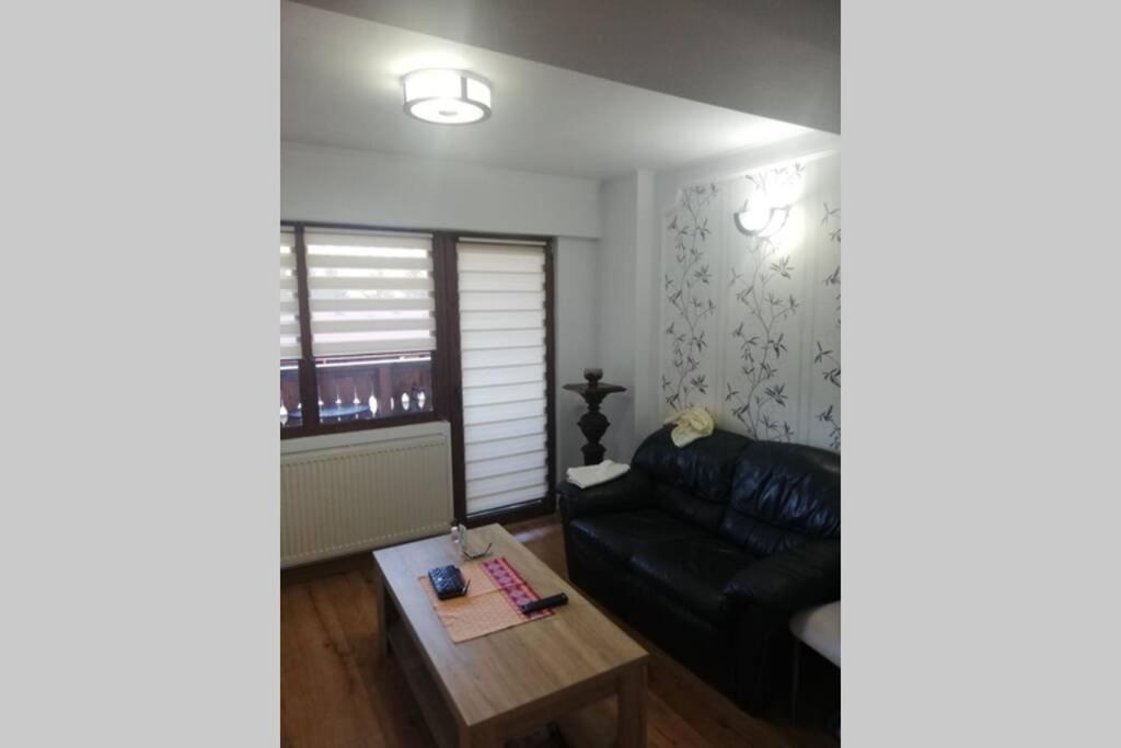 Large Vacation Apartment In 波亚纳布拉索夫 外观 照片